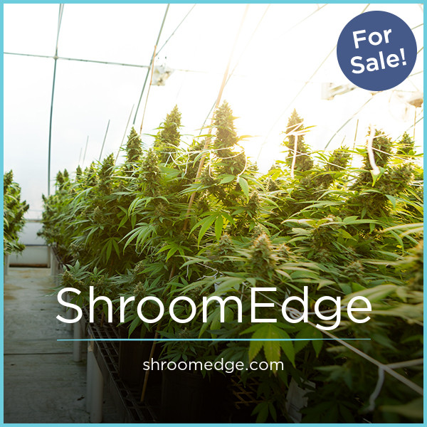 ShroomEdge.com - New domains for sale
