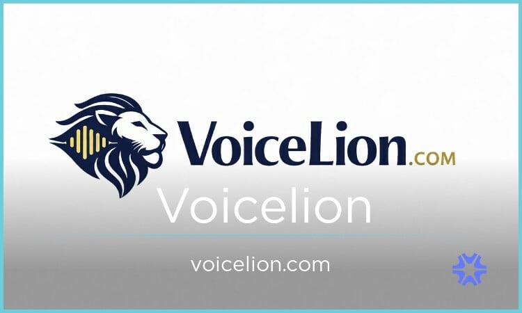 Voicelion.com image 2