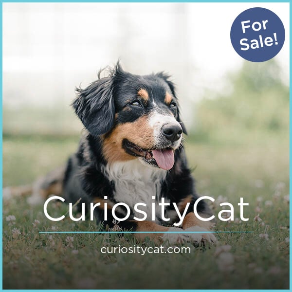 CuriosityCat.com - Catchy premium domain names