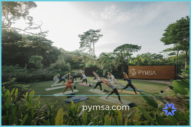 Pymsa.com