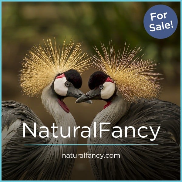 NaturalFancy.com image 2