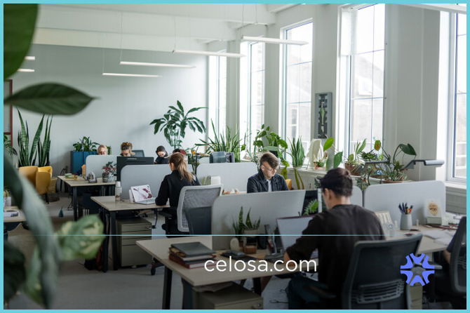 Celosa.com