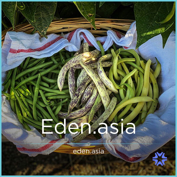 Eden.asia