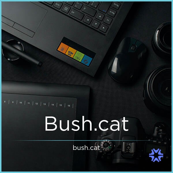 Bush.cat image 2