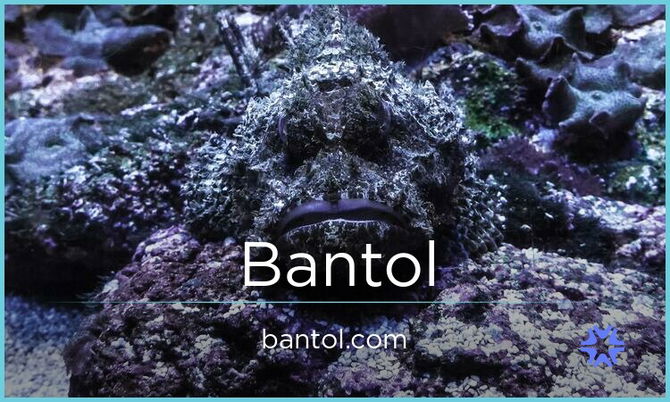 Bantol.com