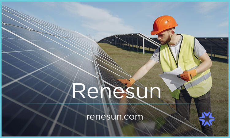 Renesun.com image 2