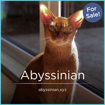 Abyssinian.xyz