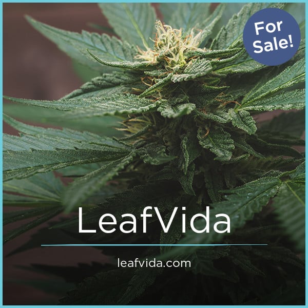 LeafVida.com - Creative premium domains for sale