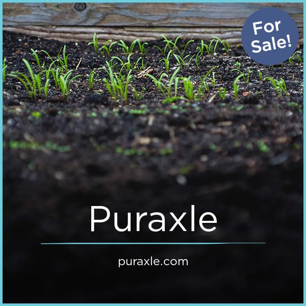 Puraxle.com - Cool premium names
