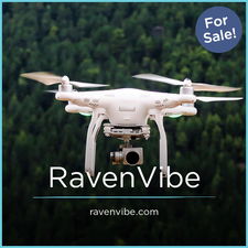RavenVibe.com - Best domains for sale