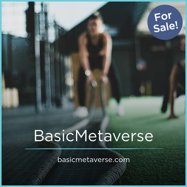 BasicMetaverse.com