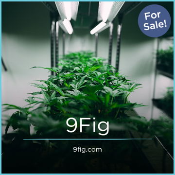 9Fig.com