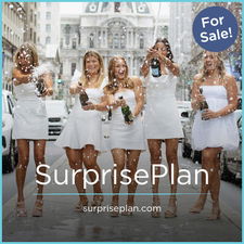 SurprisePlan.com - Good premium domain names for sale