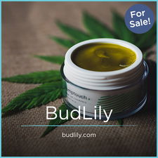 BudLily.com - buy Good premium domains