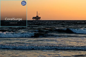 CoralSurge.com - Great premium domains