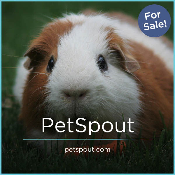 PetSpout.com