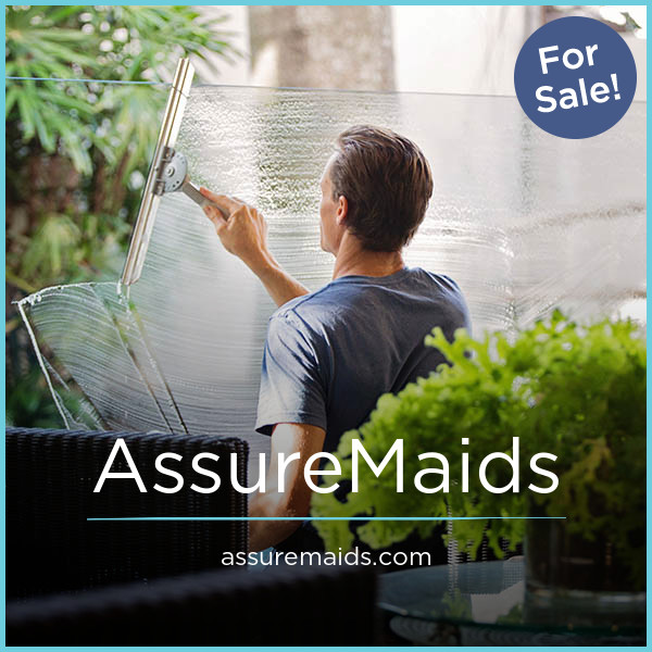 AssureMaids.com image 2