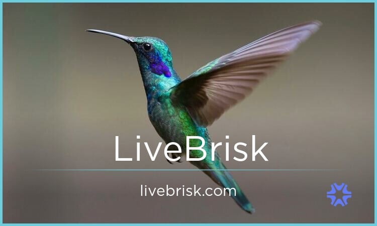 LiveBrisk.com image 2