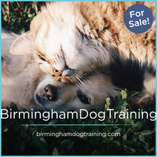 BirminghamDogTraining.com - Creative brandable domain for sale