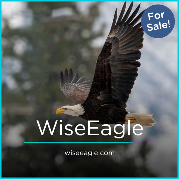 WiseEagle.com - buy Creative premium domains