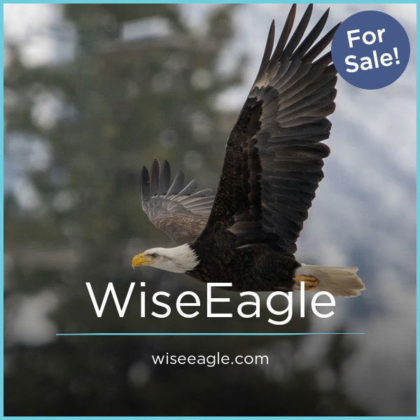 WiseEagle.com — 2