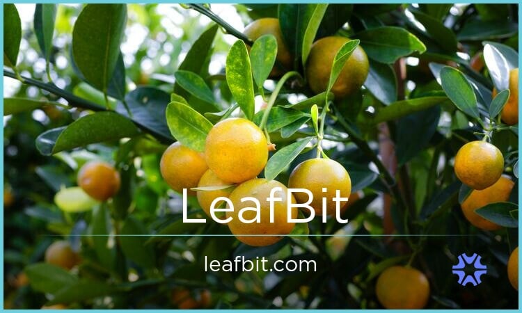 LeafBit.com image 2