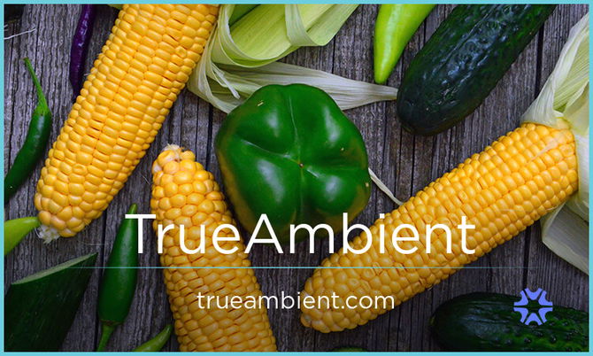 TrueAmbient.com