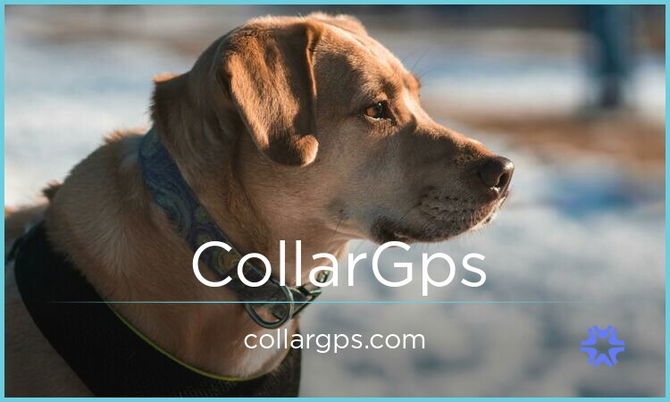 CollarGps.com