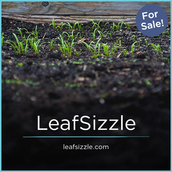 LeafSizzle.com - Good premium domains