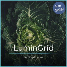 LuminGrid.com - Cool domains for sale