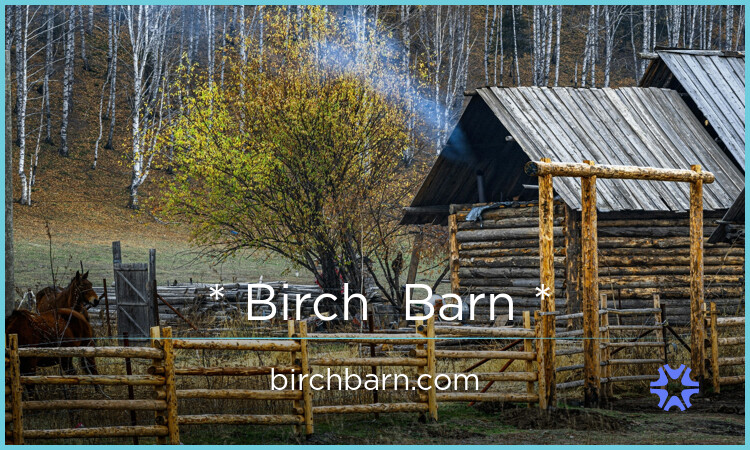 BirchBarn.com - Good premium names