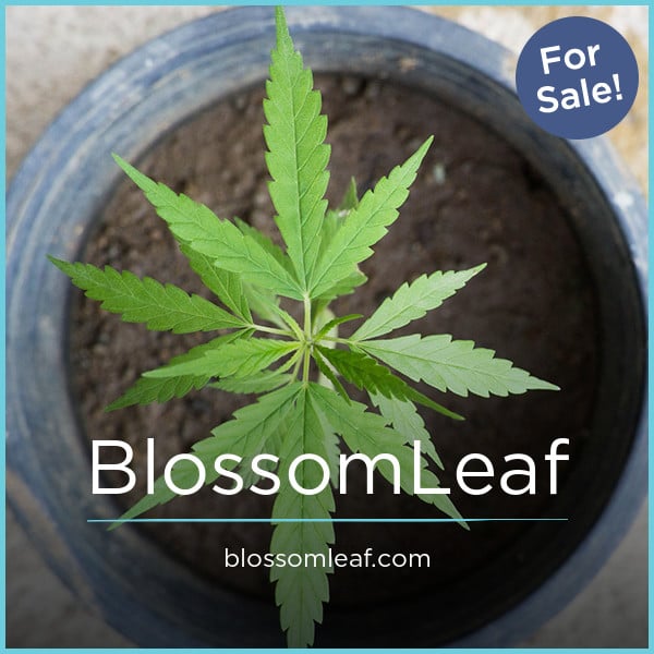 BlossomLeaf.com - Unique domains for sale