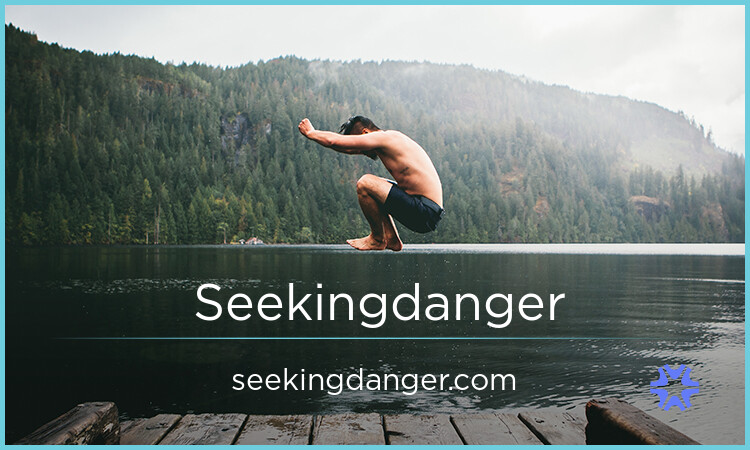 Seekingdanger.com - Creative premium domain names for sale