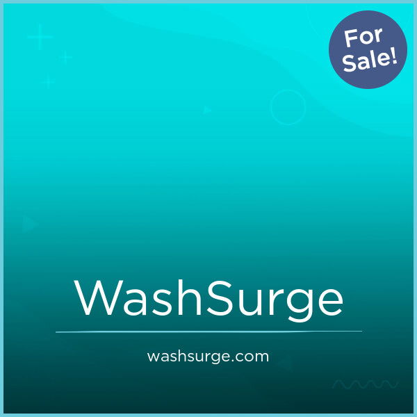 WashSurge.com