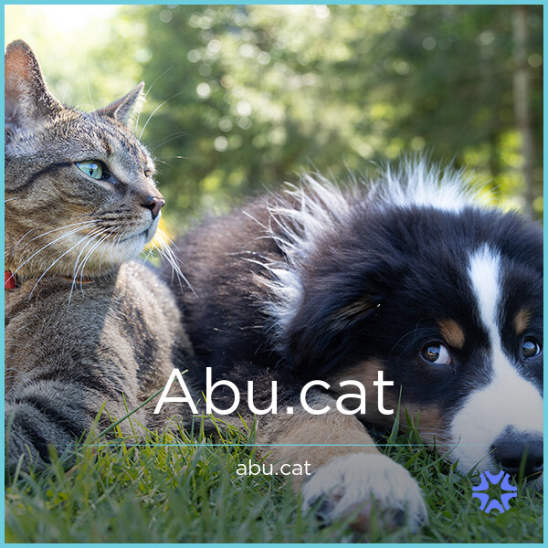 Abu.cat image 2