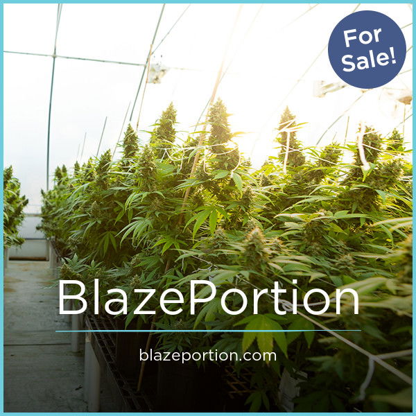 BlazePortion.com