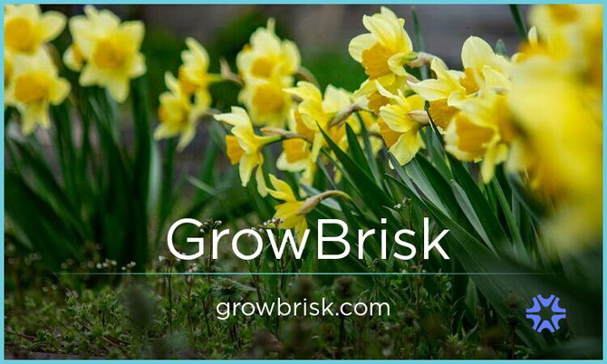 GrowBrisk.com