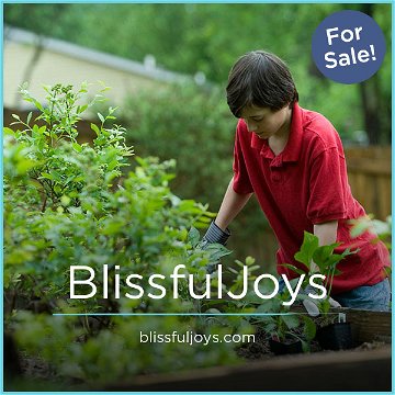 BlissfulJoys.com