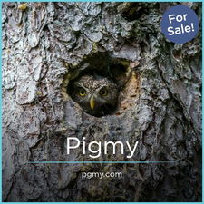 PGMY.com - Creative brandable domain for sale