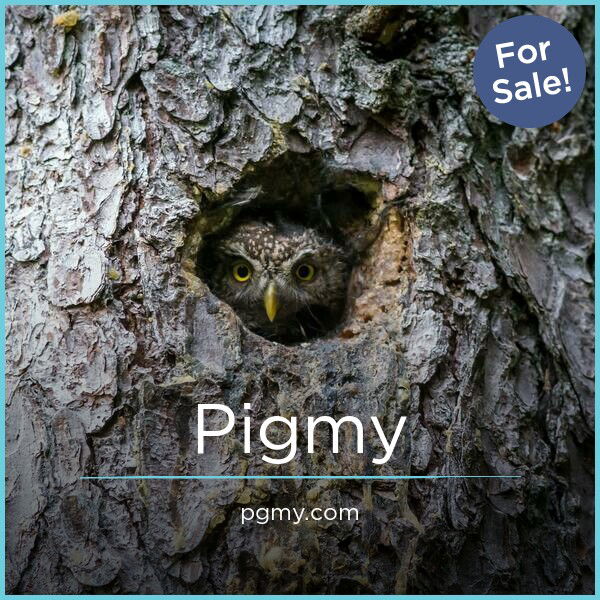 PGMY.com