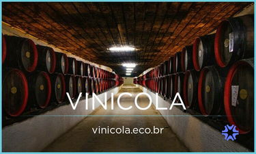 Vinicola.Eco.Br - Creative brandable domain for sale