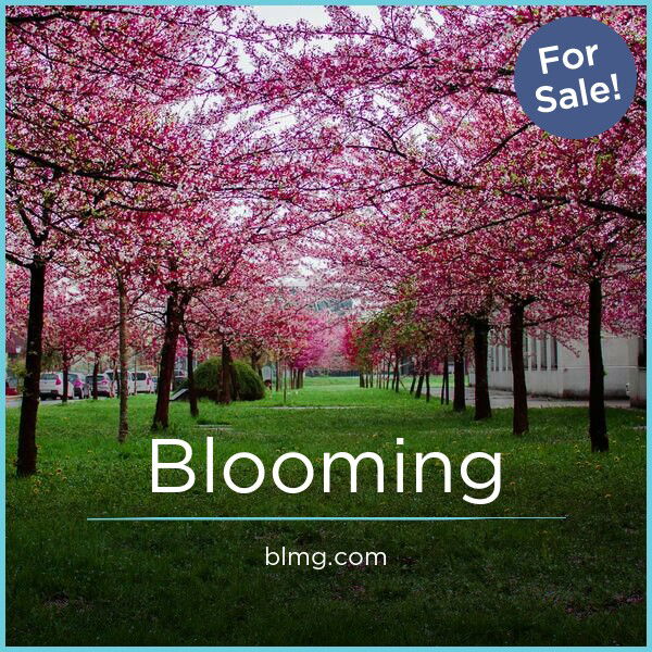 BLMG.com