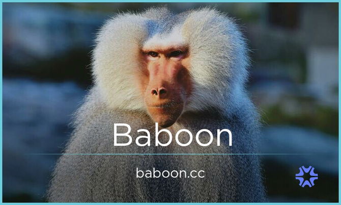 Baboon.cc