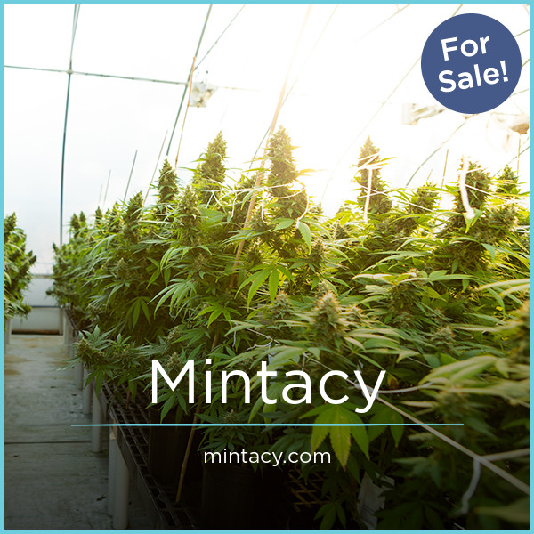 Mintacy.com - Good premium names