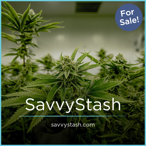 SavvyStash.com - Catchy domains for sale