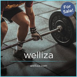 Welliza.com - Good premium company names for sale