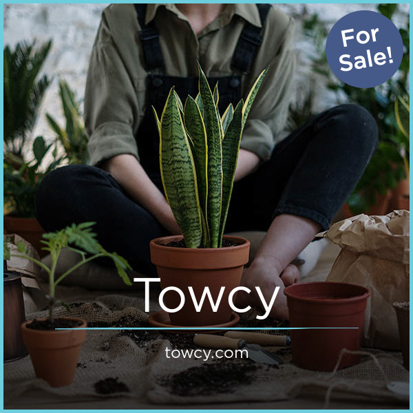 Towcy.com - buy Creative premium domains