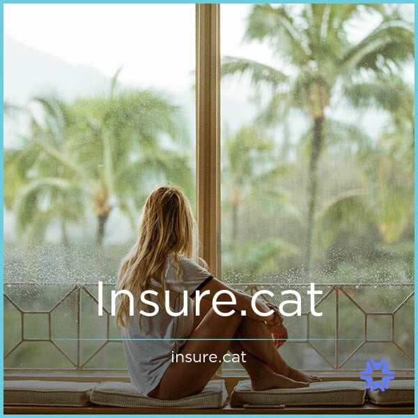 Insure.cat image 2