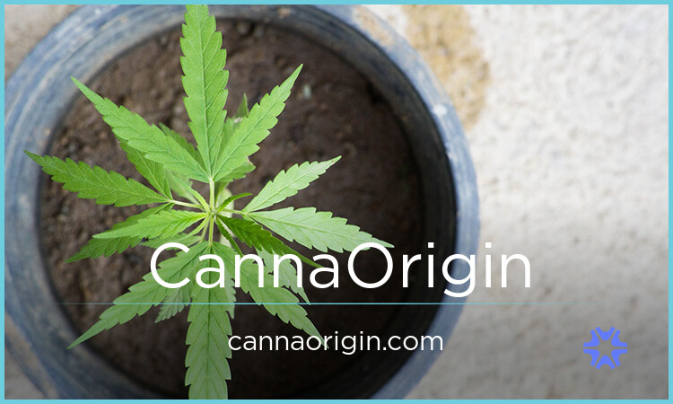 CannaOrigin.com image 2