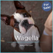 Wagella.com - New premium domain names